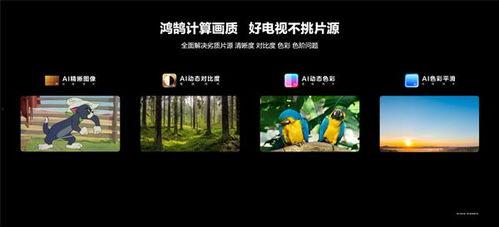 国产第一视频,引领视听新潮流的视听盛宴