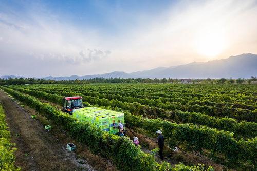 国产视频3p,揭秘中国影视行业的新趋势与挑战