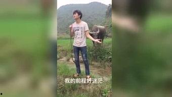 国产最新福利视频,视觉盛宴，情感共鸣，尽享视听盛宴