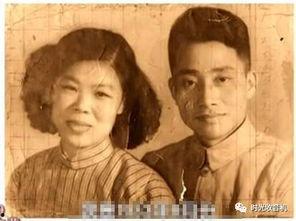 国产老头和老太,岁月流转中的温馨故事