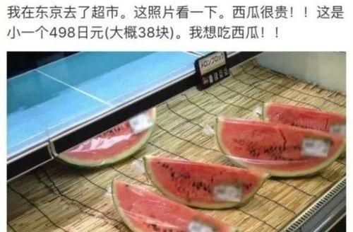 日本娱乐吃瓜